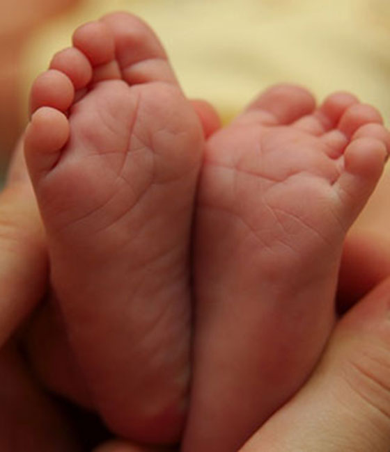 Baby Gifts - Dulcet Gift Baskets