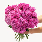 Lavender Fizz rose bouquet featuring 24 lavender-pink garden roses with lush, ruffled petals, hand-tied for elegant flower gifting.