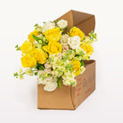 Sunshine and Cream yellow and white rose bouquet featuring vibrant yellow roses, creamy white blooms and greenery in a flower delivery box.